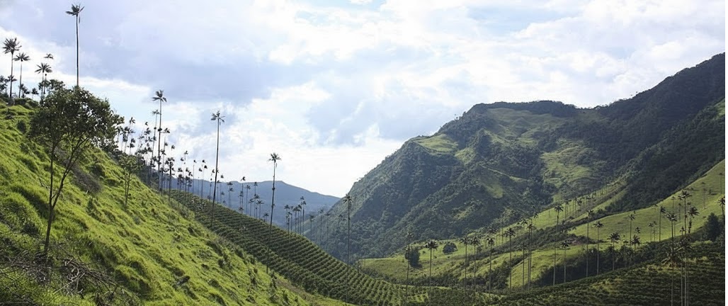 Dolores Cannon Colombia